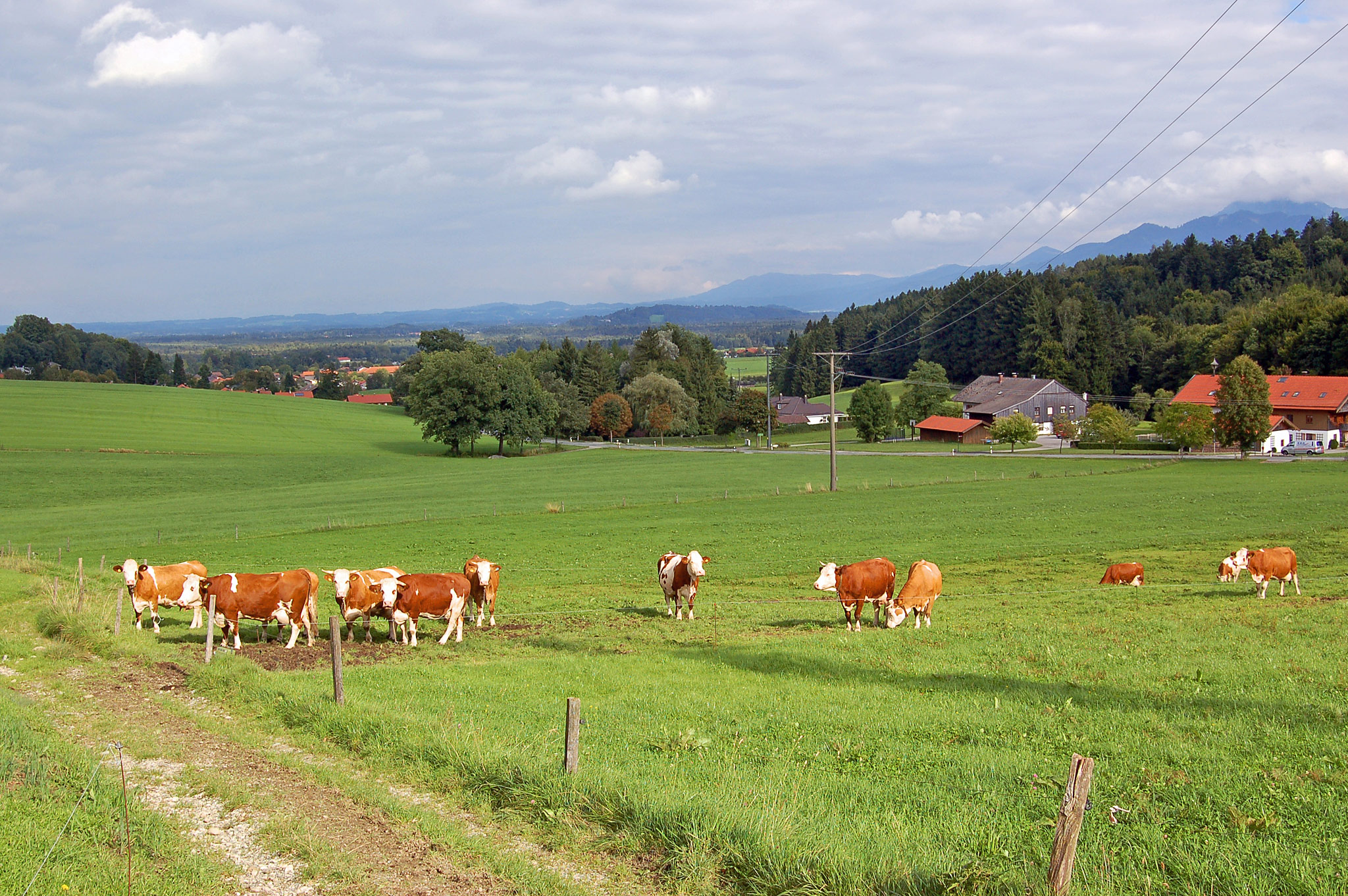 Bernau am Chiemsee